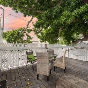 Traveler's Palm Key West